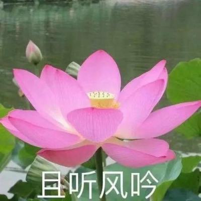 奔驰宝马电玩游戏大厅应用版-奔驰宝马电玩游戏大厅最新版V1.5.22.973 -手机版
